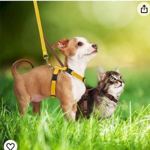 HOT PINK SMALL  PET LEASH